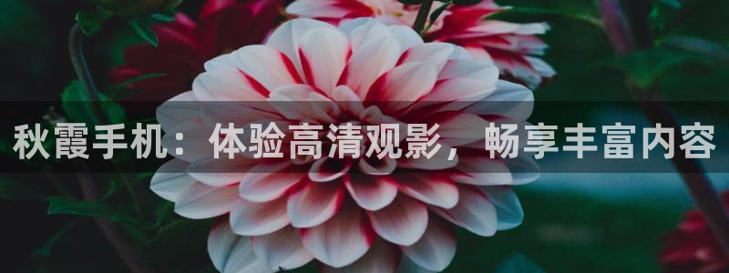 欧美影院噜噜影院：秋霞手机：体验高清观影，畅享丰富内容