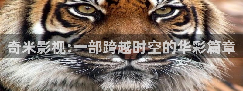 欧美影院.：奇米影视:一部跨越时空的华彩篇章