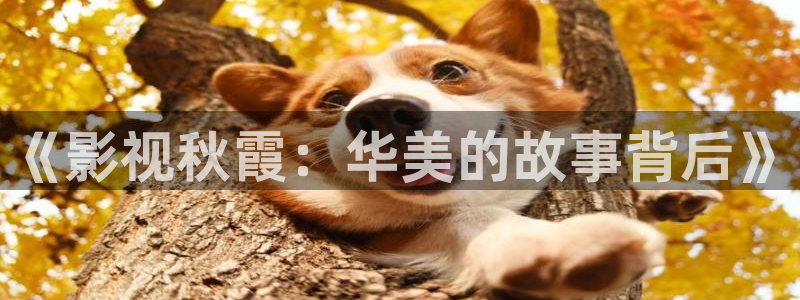 谷露欧美影院：《影视秋霞：华美的故事背后》