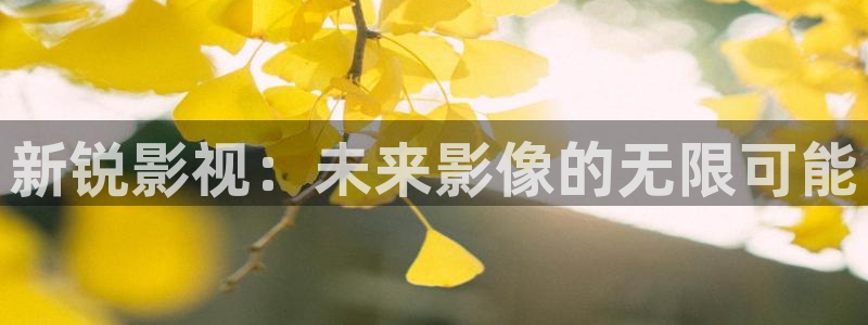 日韩影院欧美影院：新锐影视：未来影像的无限可能