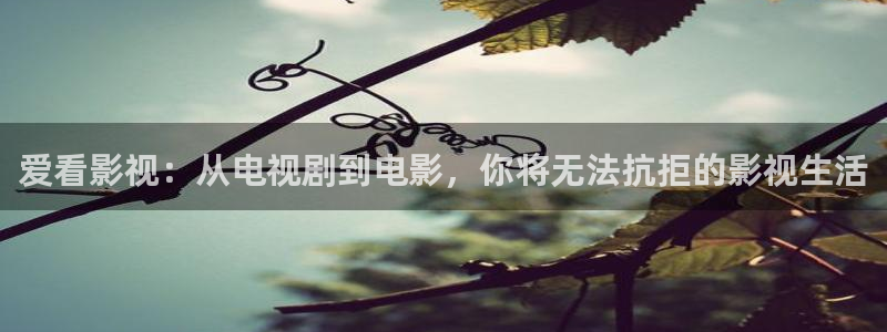欧美影院在线：爱看影视：从电视剧到电影，你将无法抗拒的影视生活