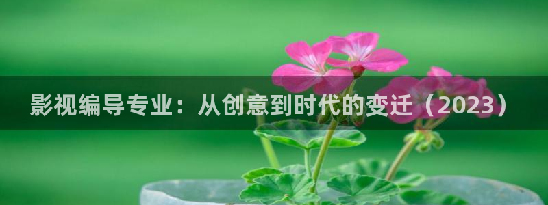 欧美影院干b：影视编导专业：从创意到时代的变迁（2023）