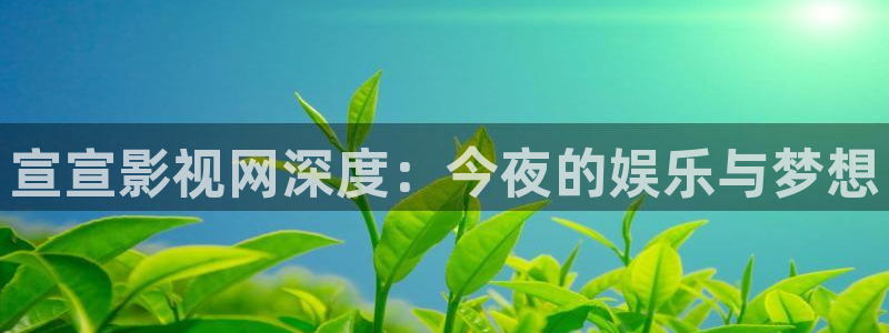 欧美影院午夜剧场：宣宣影视网深度：今夜的娱乐与梦想
