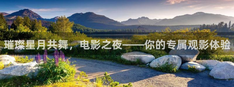 成人欧美影院：璀璨星月共舞，电影之夜——你的专属观影体验