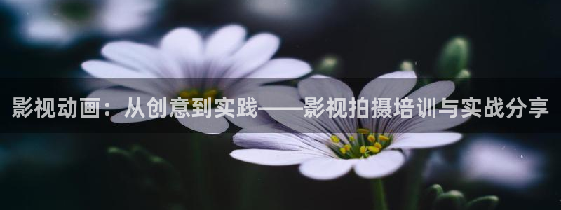 劲爆欧美影院：影视动画：从创意到实践——影视拍摄培训与实战分享